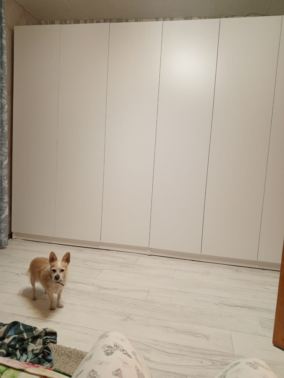 Разборка мебели перед переездом